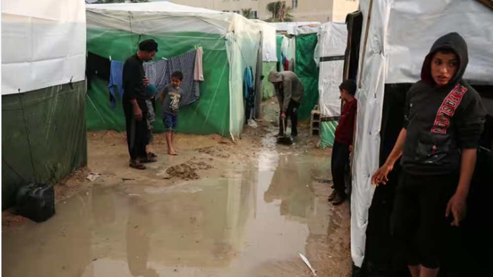 Gaza : recrudescence des maladies infectieuses 