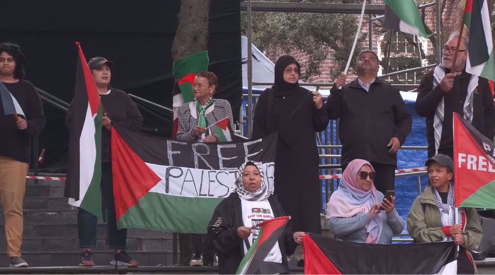 One year of weekly pro-Palestine demos marked in South Africa