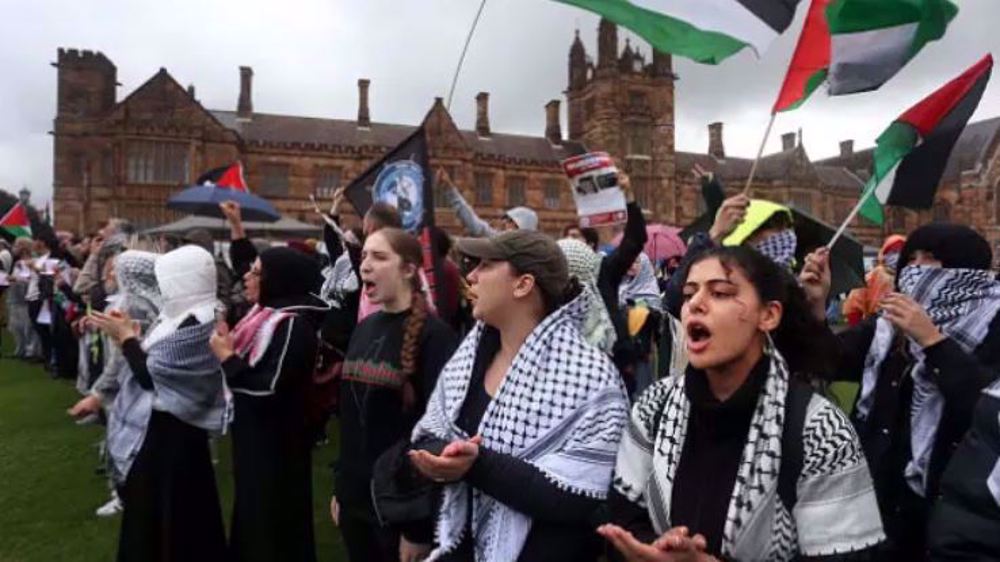 Austrian courts rule against bans on pro-Palestine demonstrations 