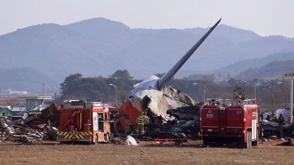 Corée du Sud: crash d'un avion avec 181 personnes à bord