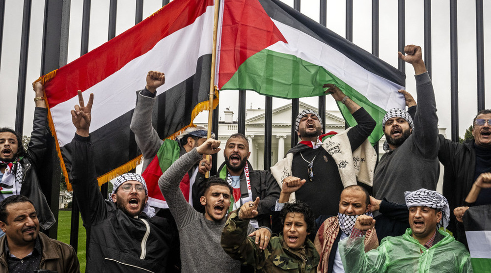 Operations in support of Palestine