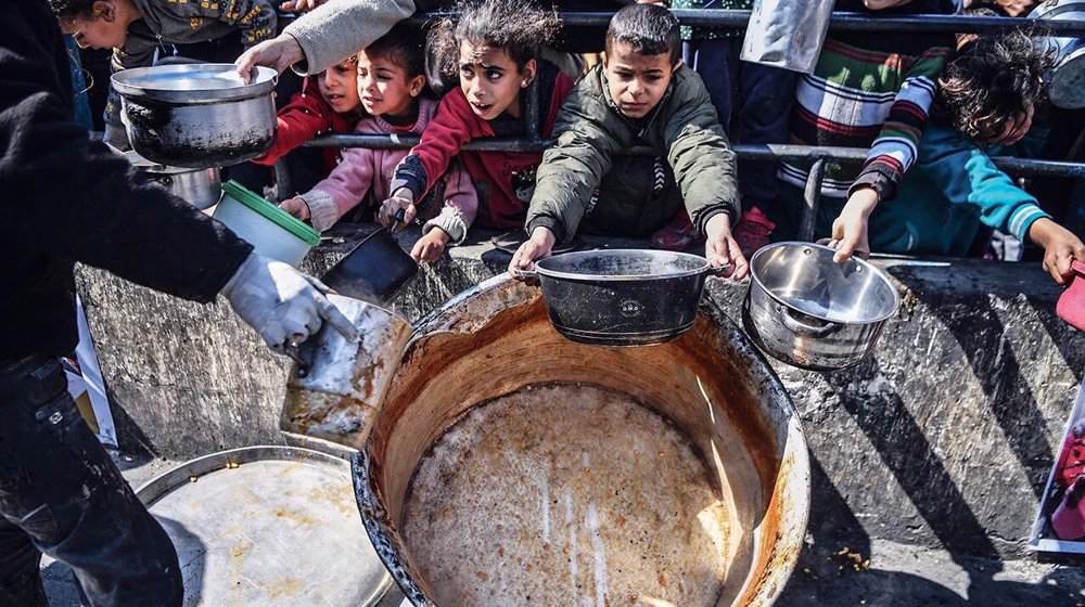 Le nord de Gaza n’a reçu aucune nourriture depuis 50 jours (PAM)