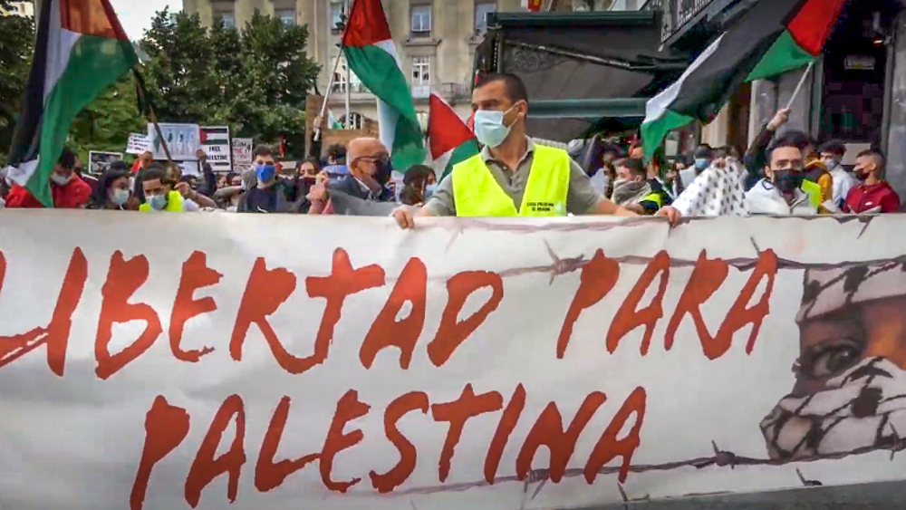 Spanish lawmaker hunger strikes in solidarity with Palestine