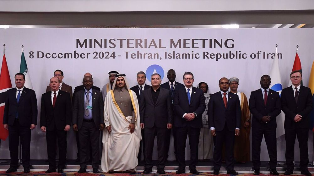 Gas exporting bloc 'deeply concerned' by deliberate attacks on Iran