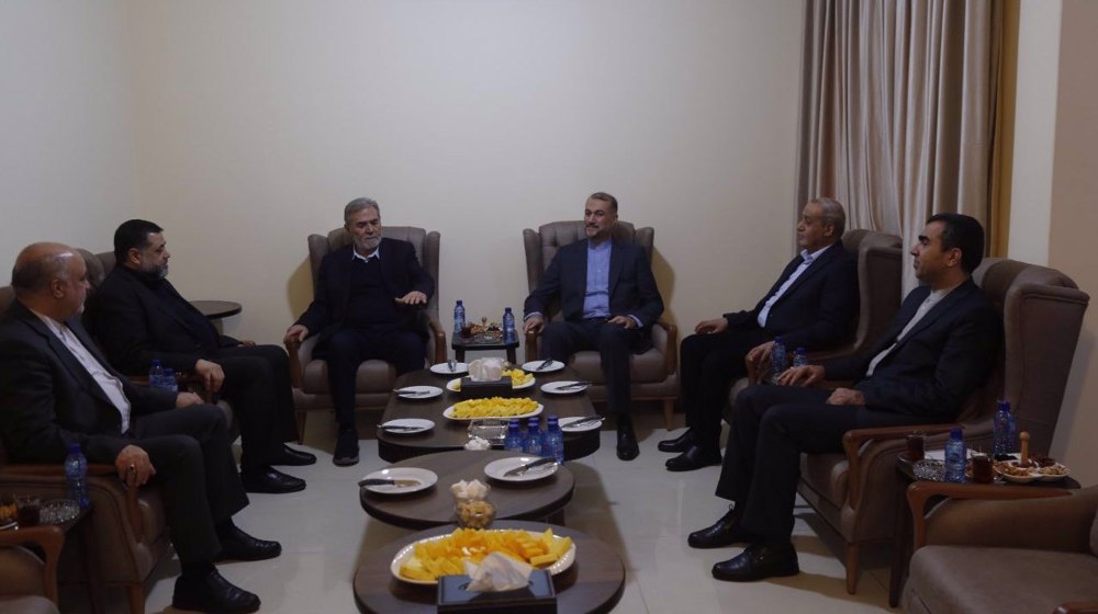 Al-Aqsa Storm revived Palestine as main issue of Muslim world: Iran’s FM