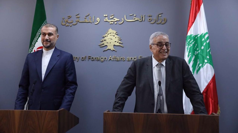  Peace will return to West Asia if Israeli war on Gaza stops: Iran’s FM