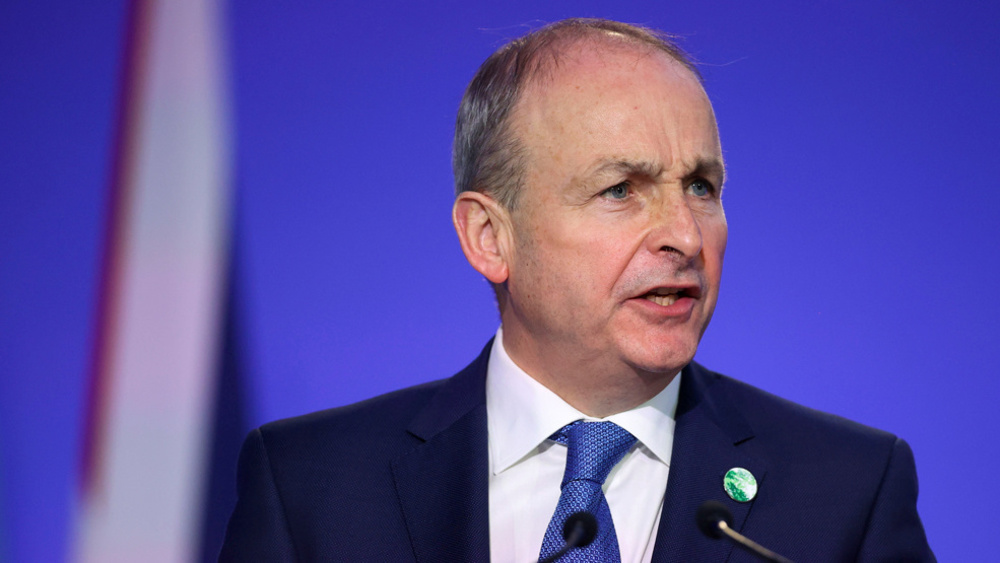 L'Irlande dénonce "l'abus" du droit de veto au Conseil de sécurité de l'ONU 