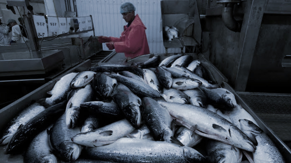 Russia withdraws from fishing deal with Britain after UK’s new sanctions