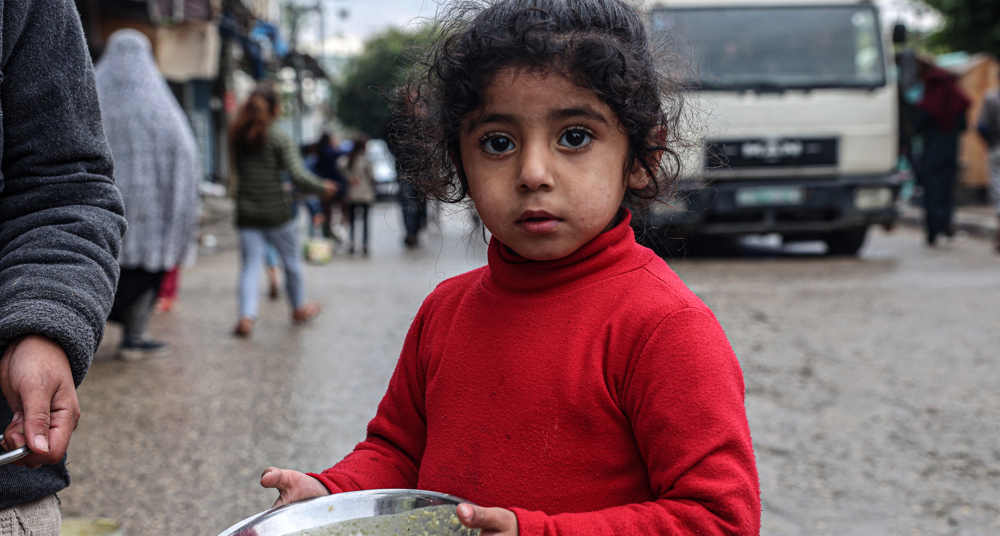 Israel must be held to account for starving Palestinians: UN expert 