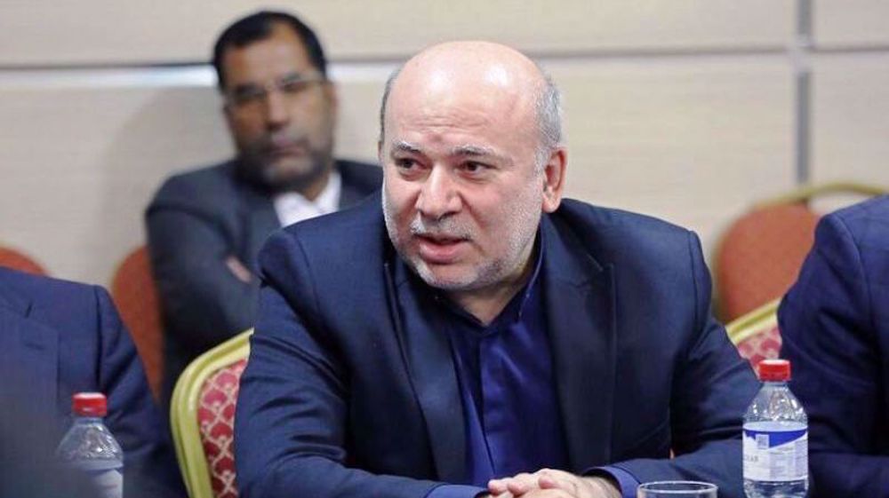 Iran has attracted $10.6bn of foreign investment since Aug 2021: Official