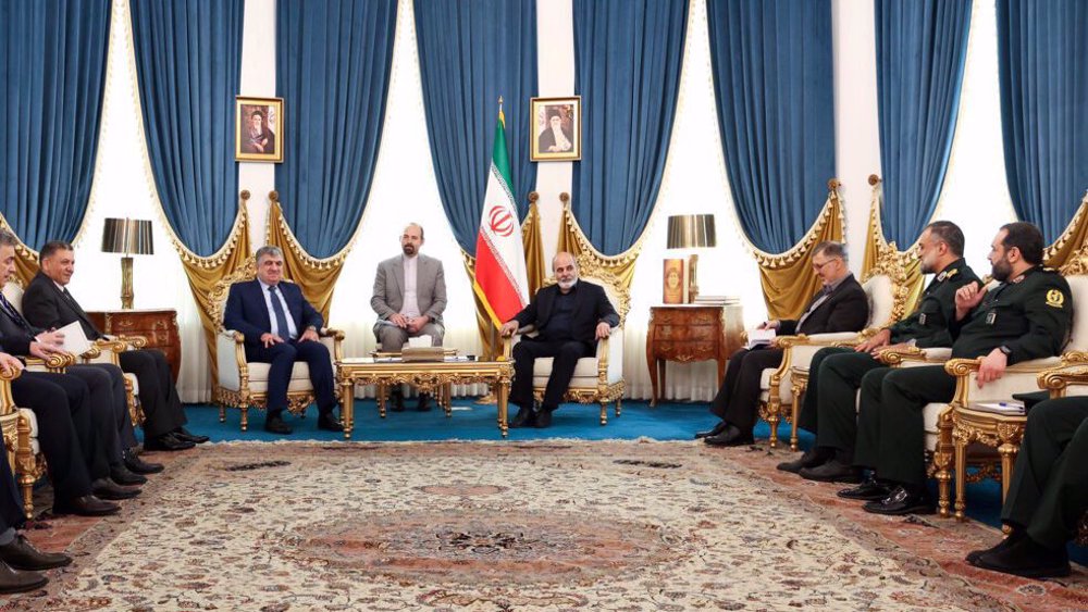 Strong Syria will benefit region's security and stability: Iran 