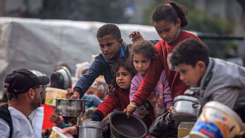 Gaza : l'OMS tire la sonnette d'alarme sur la grave crise alimentaire à Gaza