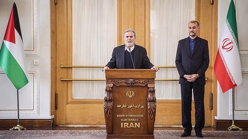 'Palestinians could not stand up to Israel without Iran's support'