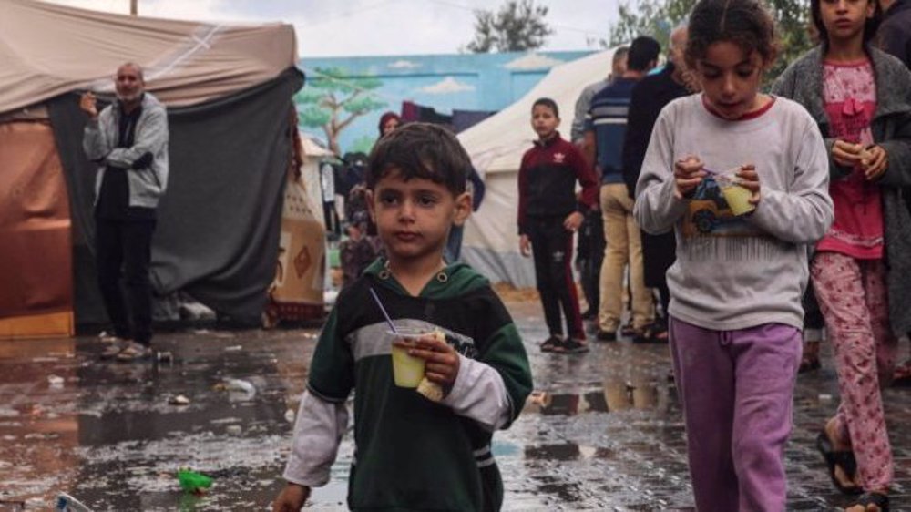 HCR: 1,7 million de Palestiniens déplacés de force à Gaza 