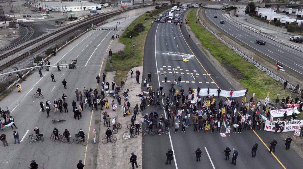 Mass rallies held in major US cities in support of Gaza 