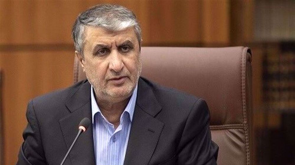 Iran rejects nuclear activities against interaction with IAEA:  Nuclear chief