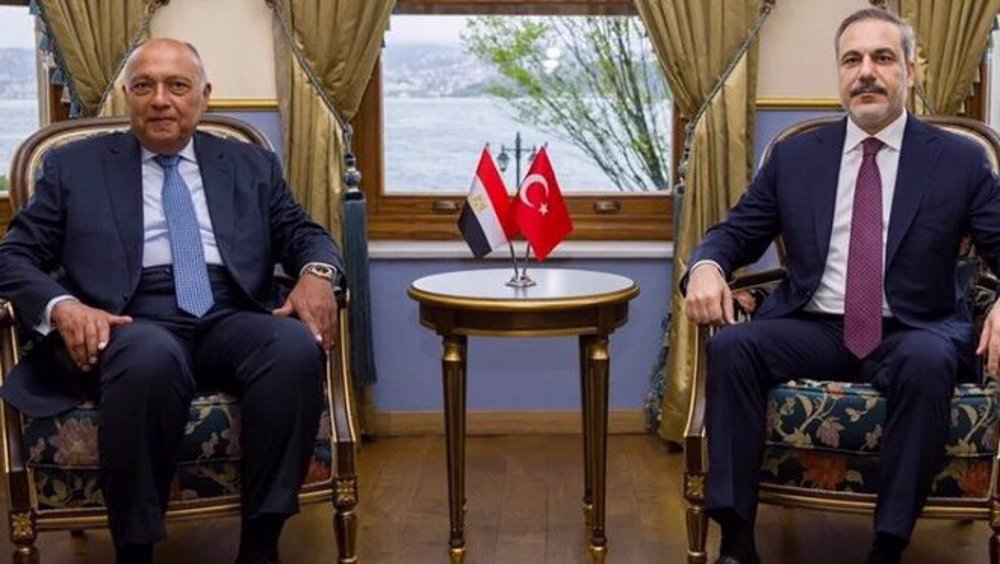 Israeli occupation of Palestine ‘main cause of instability’ in region: Turkish FM