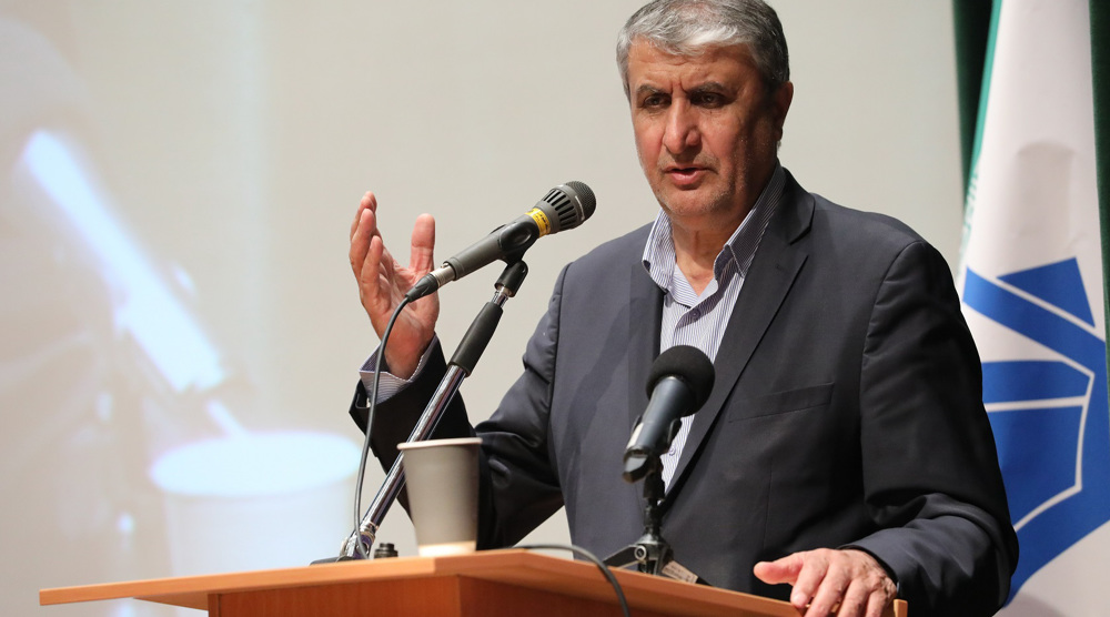 Iran set to build more nuclear power plants: AEOI chief