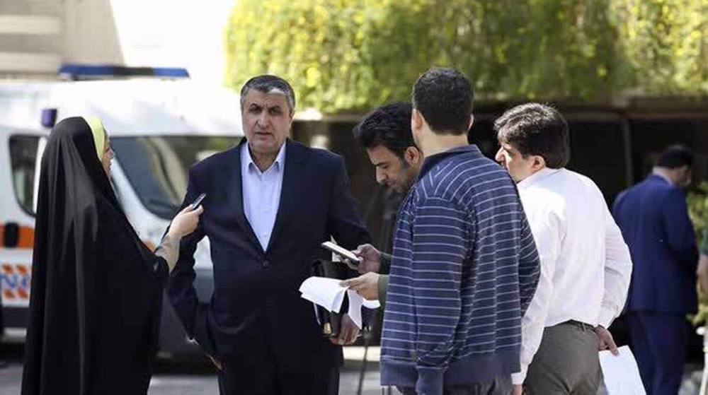 Nuclear chief: 130 IAEA inspectors are authorized to work in Iran