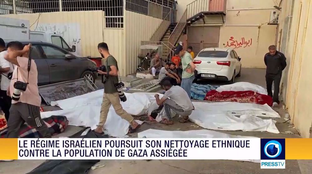 Journal du 11 mai 2024
