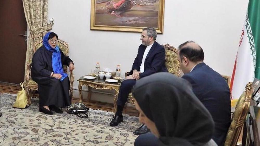 US Afghanistan occupation source of instability, terrorism threat: Deputy FM
