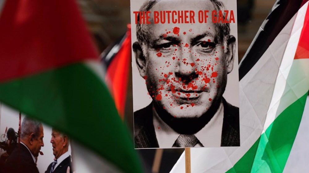  UN special rapporteur welcomes ICC arrest warrant against Israeli officials