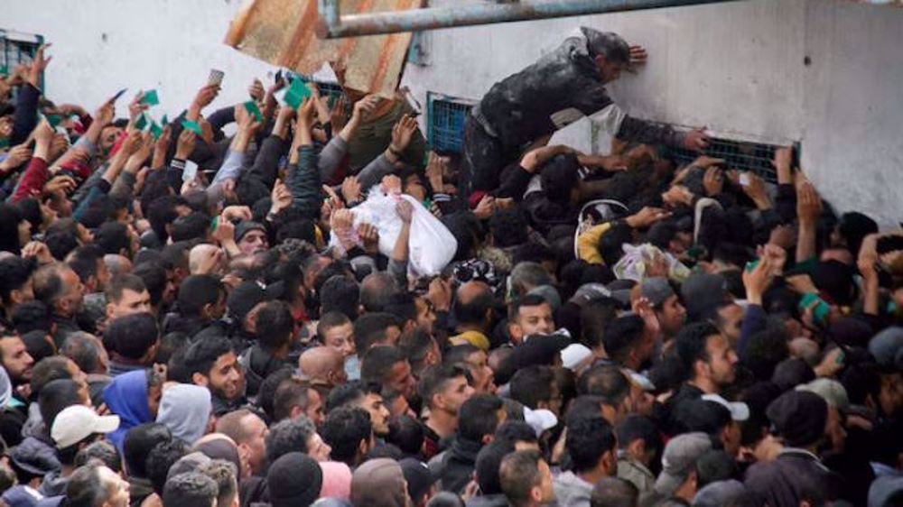 UNFPA: Half of all people in Gaza at risk of imminent famine