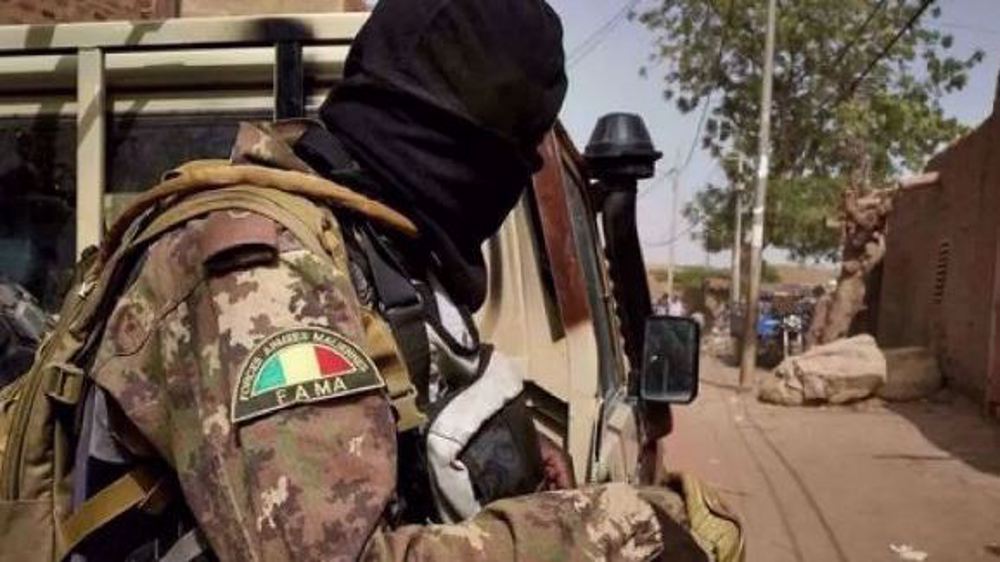 Mali: l'armée a infligé des coups sévères aux terroristes 