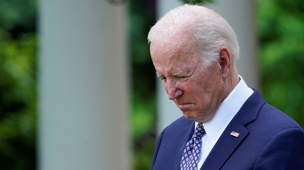 Japan, India criticize Biden for labeling them as 'xenophobic'