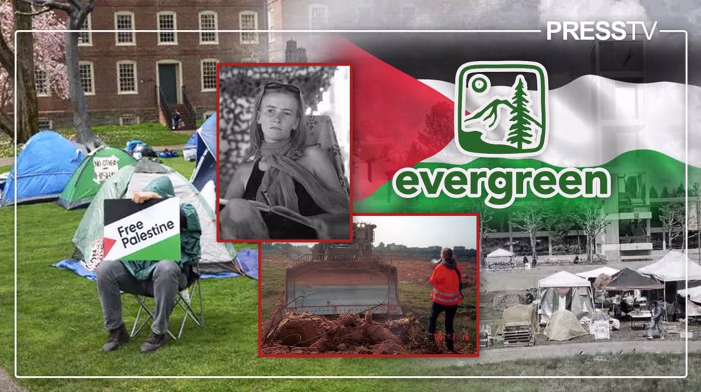 Explainer: Rachel Corrie’s alma mater becomes first US university to divest from Israel