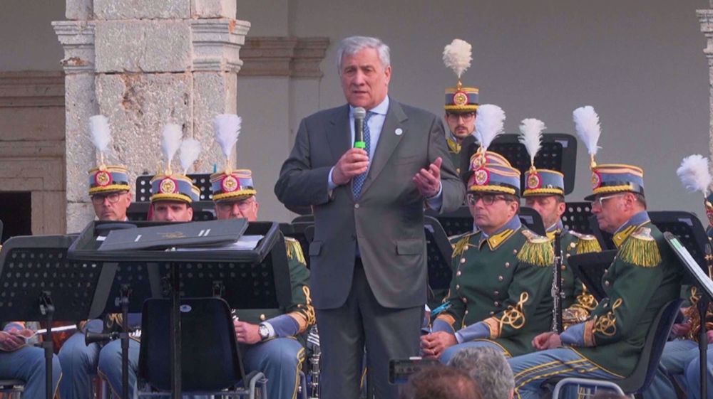 Italy says arms supplied to Kiev to be used only inside Ukraine 