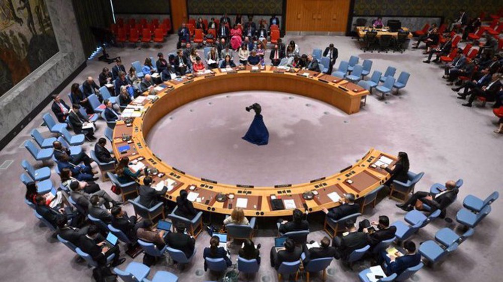 Hamas accepts UN Security Council ceasefire resolution: Official 