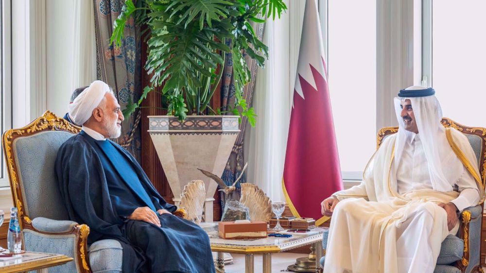 Iran says Gaza plight needs coordinated action by Muslim states