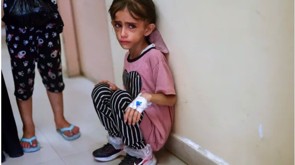 Half a million Gazans face 'catastrophic food insecurity' as 90% of children malnourished