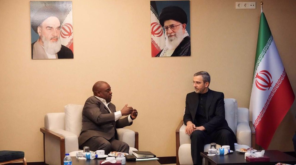 Iran urges D-8 dynamic role to promote multilateralism
