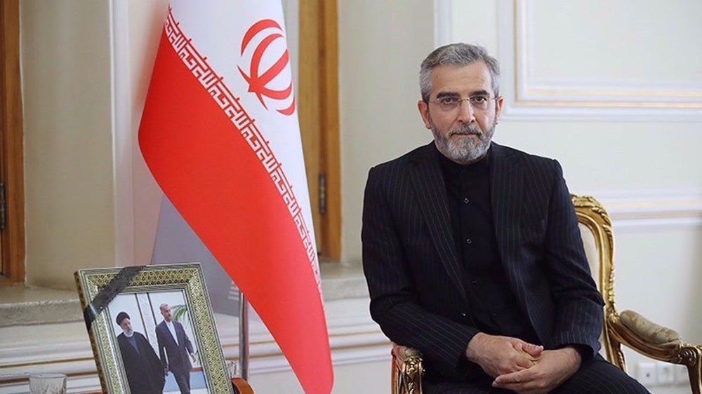 Raeisi's govt. cleared path for US sanctions removal: Interim FM