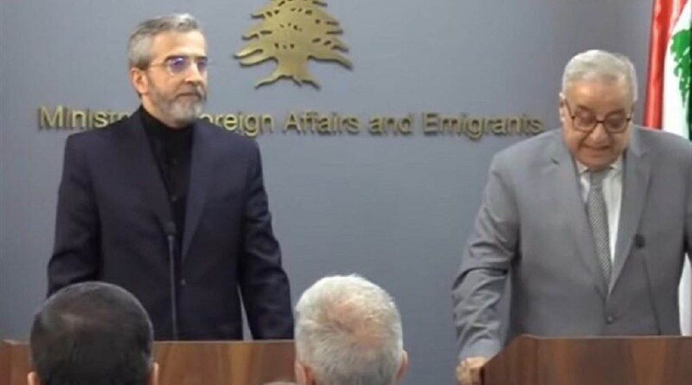Islamic Resistance in Lebanon ‘anchor of regional stability’: Iran’s acting FM
