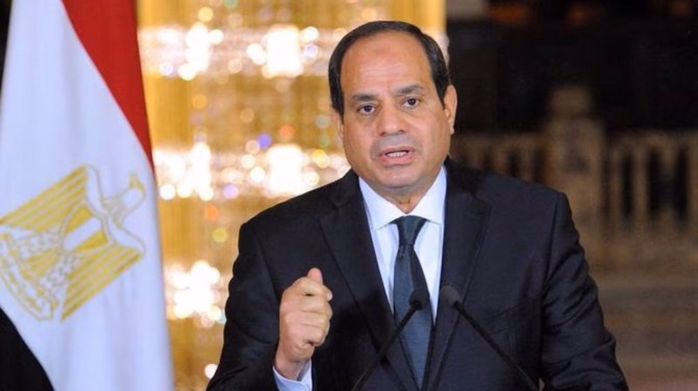 Region going through serious changes amid Gaza war: Egypt