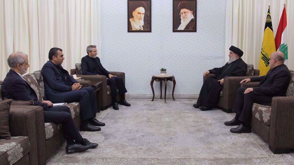 Nasrallah thanks Iran for supporting regional nations, resistance