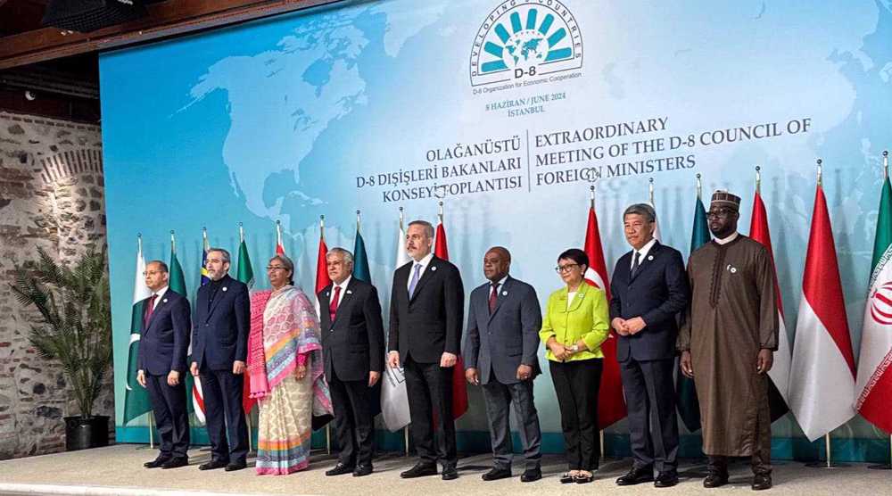 D-8 ministers call for immediate, unconditional end to Israeli war on Gaza