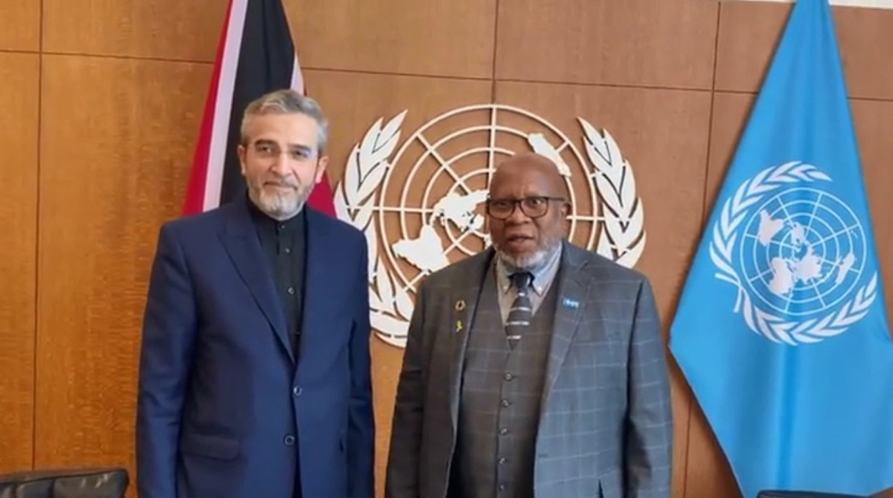 Iran acting FM meets with UN General Assembly pres. in New York, discusses Gaza