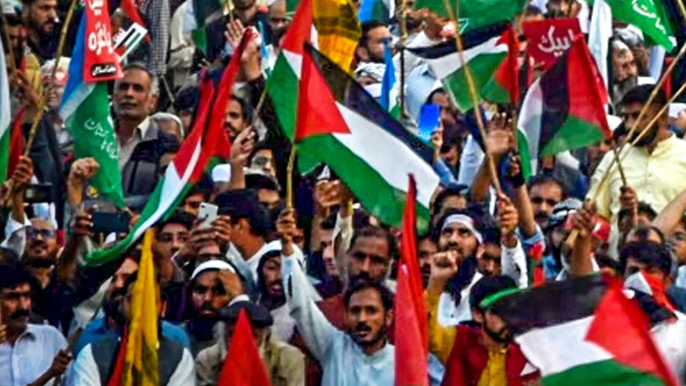 Pakistanis hold pro-Palestine demonstration
