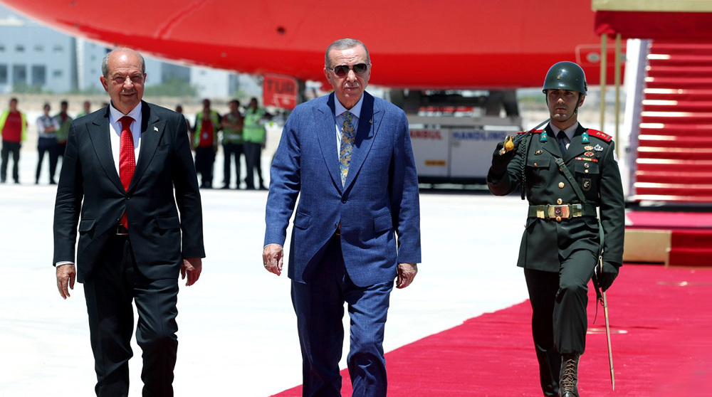 Federal solution not possible in Cyprus, says Erdogan