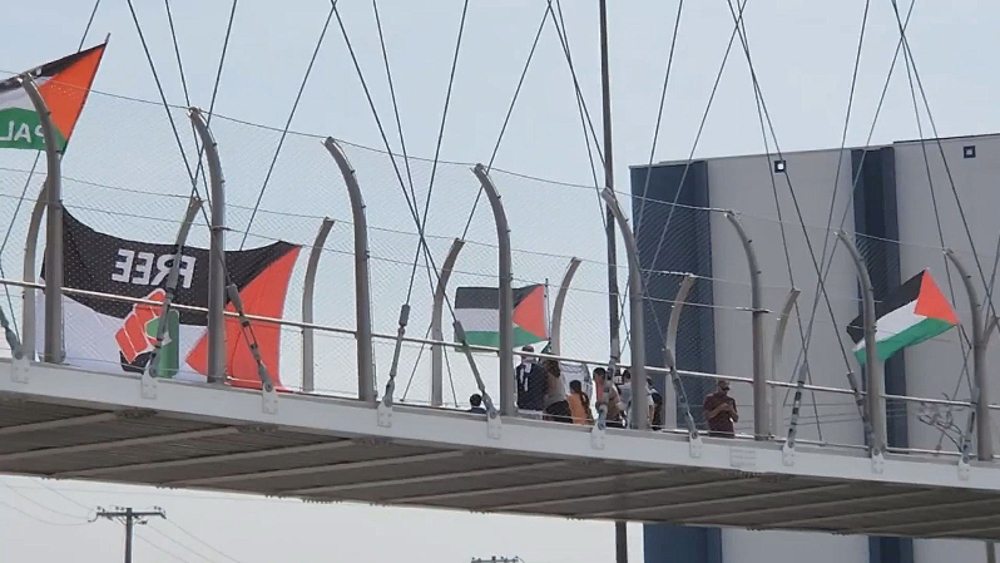 Police deployed in Dallas as pro-Palestinian protesters rally to demand 'end to genocide' in Gaza
