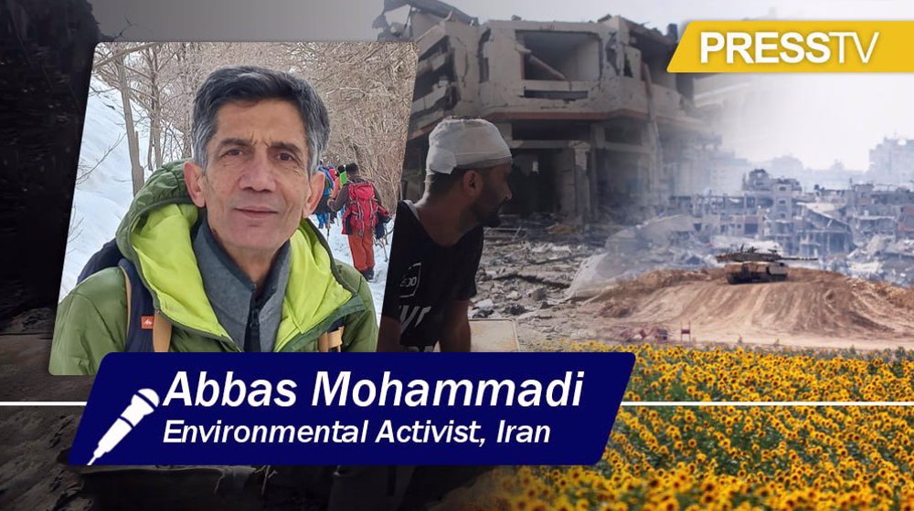 What Israel is doing in Gaza is ‘ecocide’ – destruction of environment: Activist