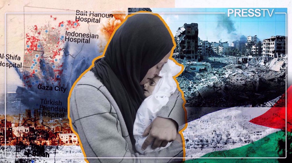 In Numbers: 290 days of death and destruction unleashed by Israeli regime in Gaza