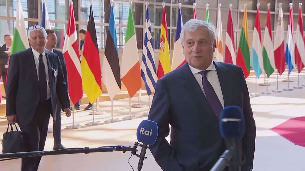 Italian FM calls for change in EU policy on Syria