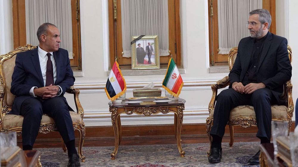 Cooperation between Iran, Egypt necessary to address regional challenges: Bagheri Kani 