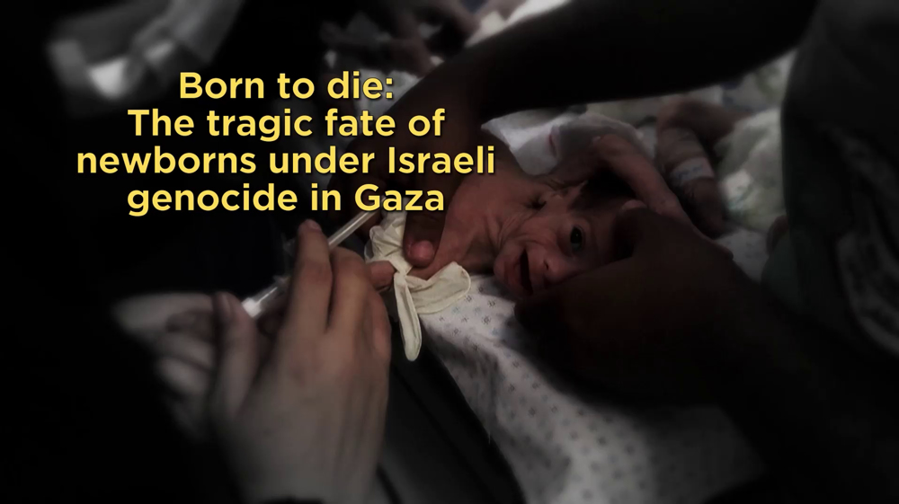 Born to die: Tragic fate of newborns under Israeli genocide in Gaza