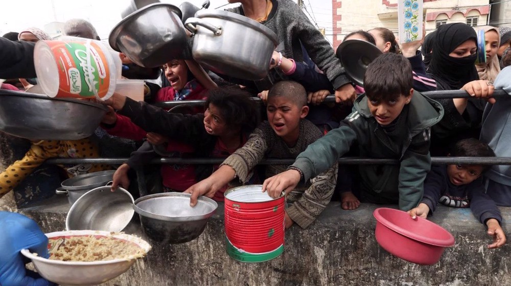 Israel blocks 83% of food aid bound for Gaza: Analysis